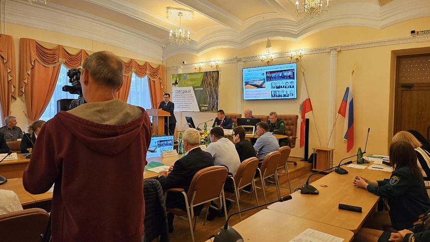 Результаты лесовосстановления в Саратовской области отметили на федеральном уровне