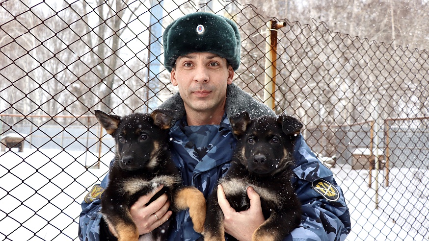 Саратовские щенки поедут служить в Херсонскую область и ДНР