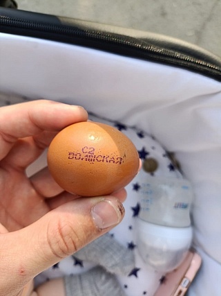 В Ленинском районе брошенное из многоэтажки яйцо попало в полуторамесячного младенца