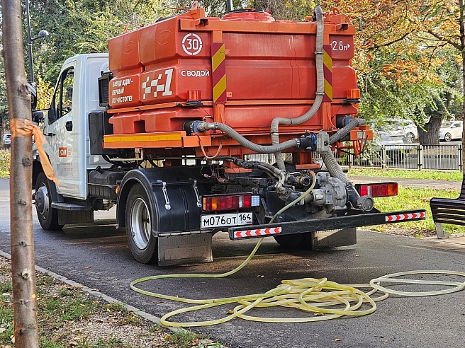 В сквере на Рахова высадили шершавый вяз и липы