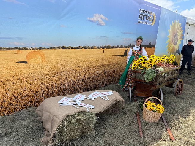 На "Дне поля" в Саратове прошла выставка сельскохозяйственной техники