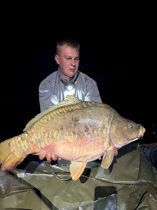 Аткарчане поймали на турнире по спортивной рыбаке 13-килограммового карпа