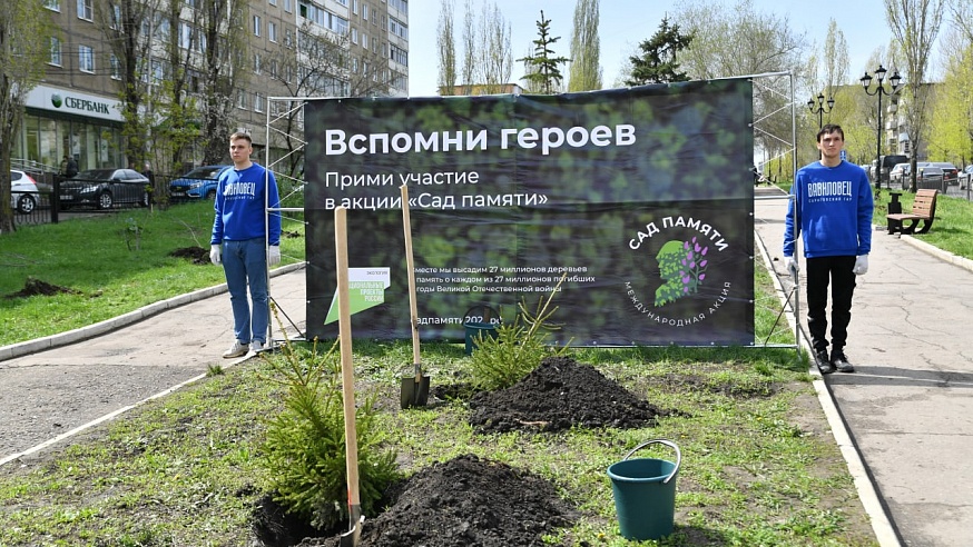 Саратовский губернатор посадил ель в сквере имени Чемодурова