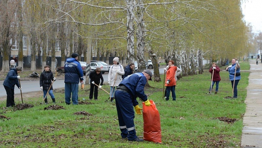 Работники Балаковской АЭС вывезли с городских парков девять тонн мусора