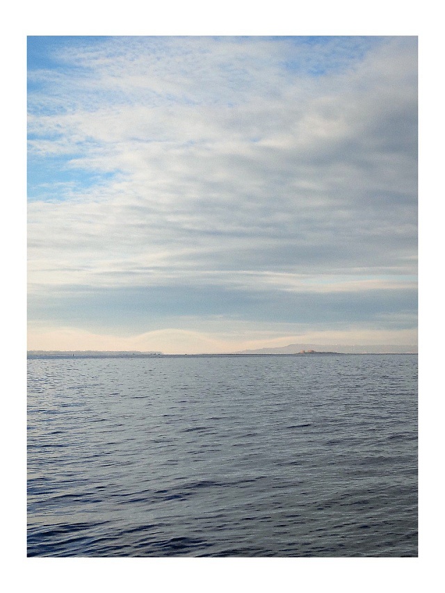 Метеоролог Червяков объяснил, почему дым над Волгой изгибался как волна