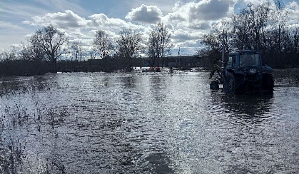 Пострадать от последствий весеннего паводка могут более 14 тысяч жителей Саратовской области