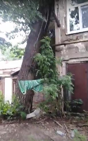В Волжском районе после ливня дерево упало на столетний дом
