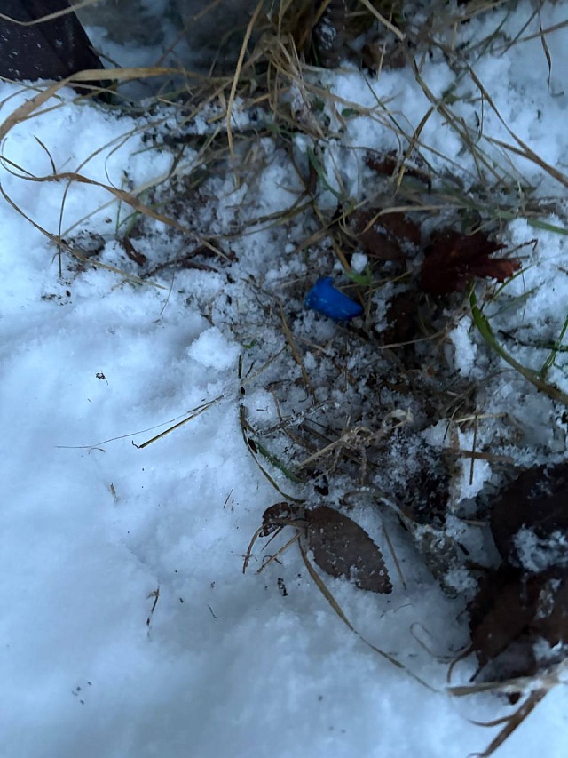 В Энгельсе задержали мужчину с 11 свертками наркотиков