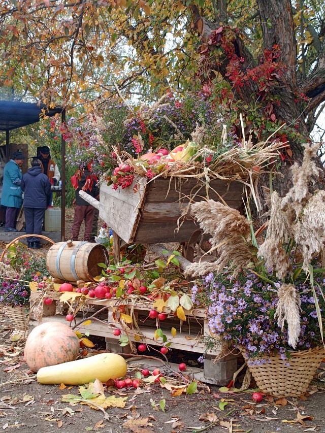 От казахской юрты до таджикского дастархана: новоузенский фестиваль стал мостом между народами