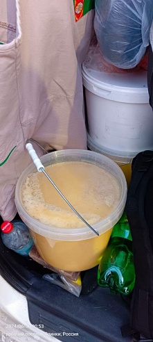 На таможне в Озинках пресекли нелегальный вывоз крупной партии меда