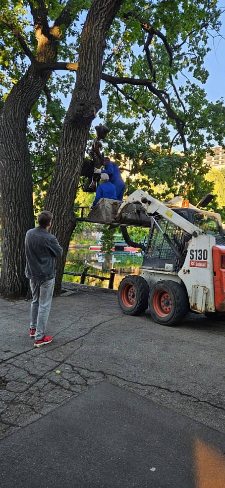 В Горпарке Саратова устанавливают временные урны