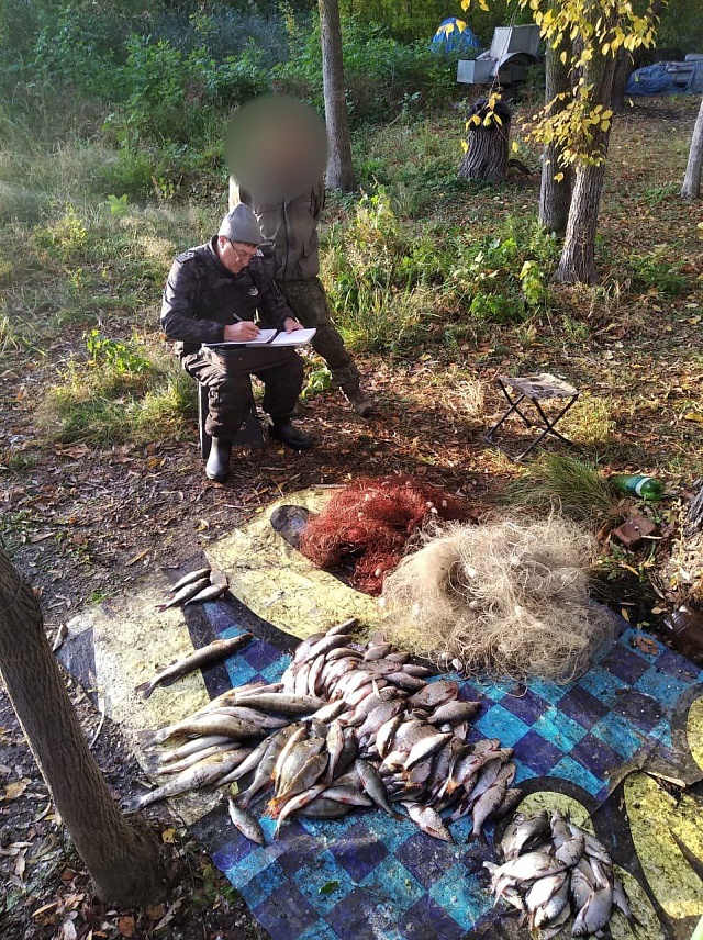 С начала месяца в Саратовской области изъято 120 килограммов незаконно выловленной рыбы