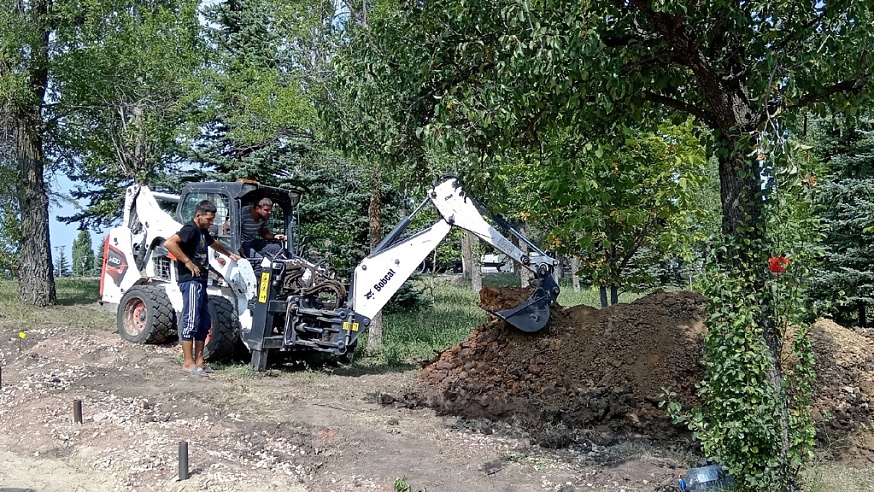 В Парке Победы начали пилить деревья и кустарники