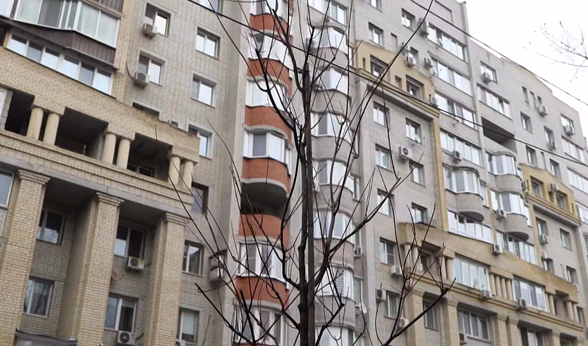 Более 400 новых деревьев появится на улицах Саратова этой осенью