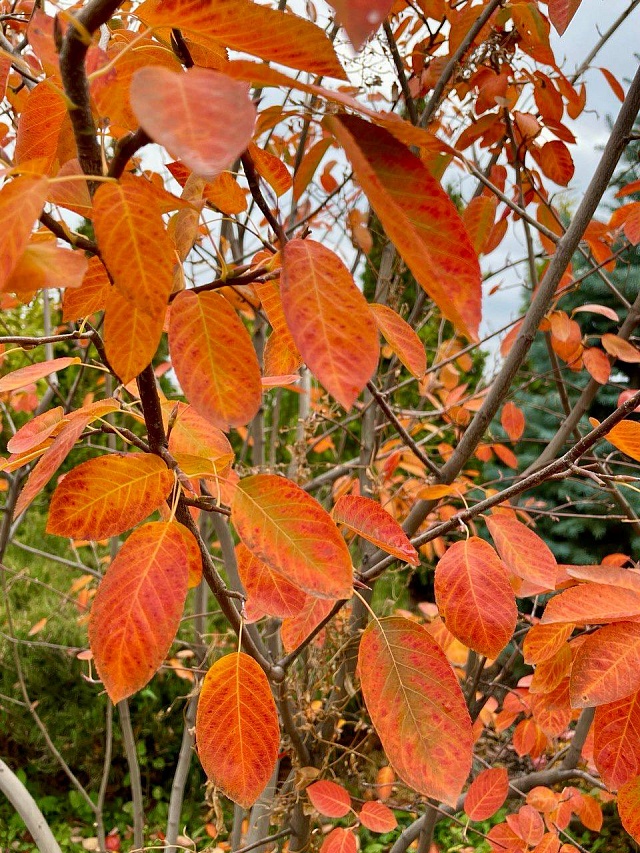 Вячеслав Володин поделился осенними снимками Иоанновского монастыря под Саратовом