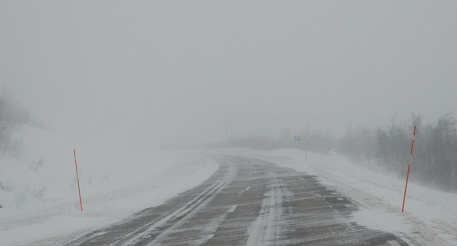 Сегодня в Саратовской области сильный снег с метелью