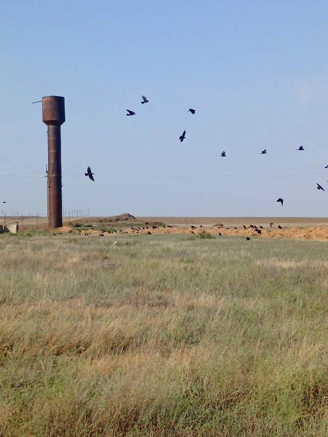 В 13 населенных пунктах Новоузенского района обновили водопроводные сети