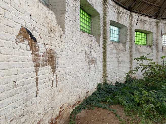 Журналист "Саратов 24" прошла по маршруту в Устиновской усадьбе