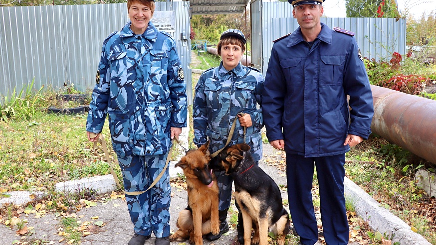 Саратовские щенки отправились служить в ЛНР