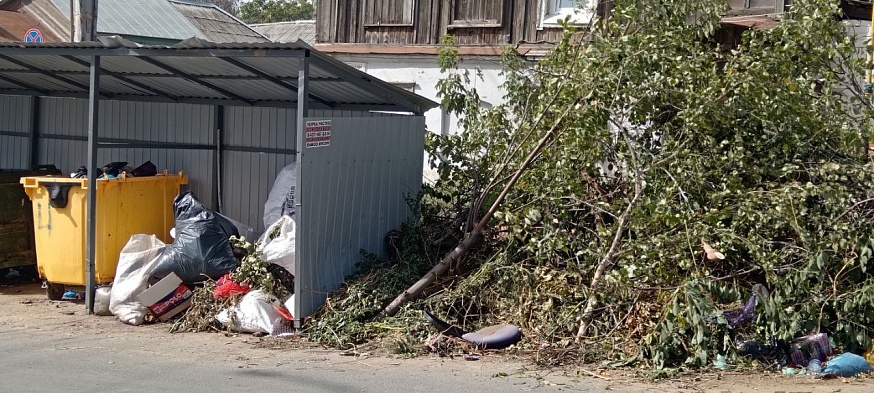 Волжский район Саратова погряз в мусоре