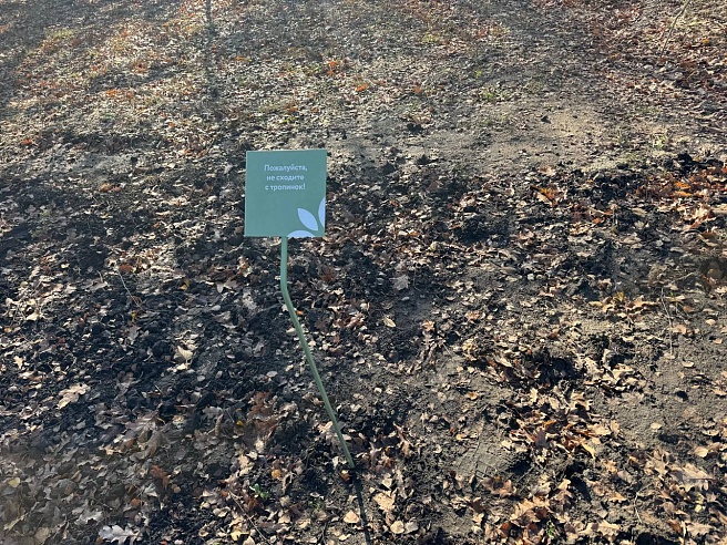 Почти три тысячи саратовцев посетили обновленный Ботсад СГУ