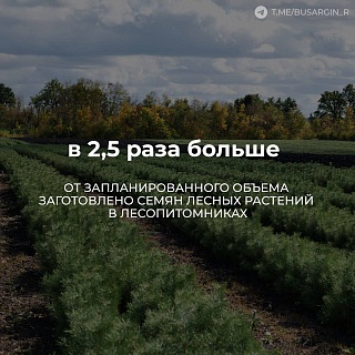 Итоги прошедшего года: в Саратовской области отремонтировали 167 километров дорог