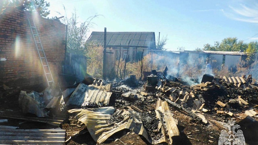 В Саратовской области грибники спасли женщину на пожаре