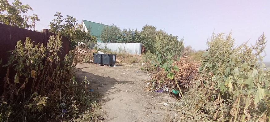 Волжский район Саратова погряз в мусоре