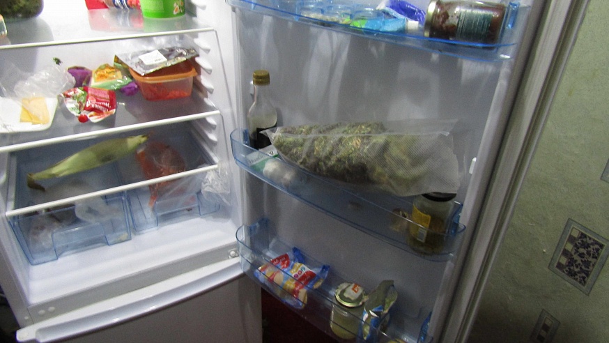 В холодильнике 21-летнего парня нашли крупную партию марихуаны