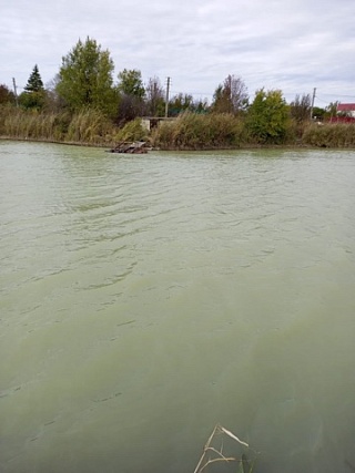 Елшанка Саратов водоём