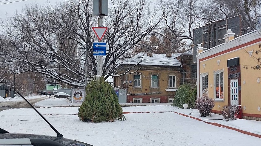 В Октябрьском районе пресекли незаконную торговлю елками