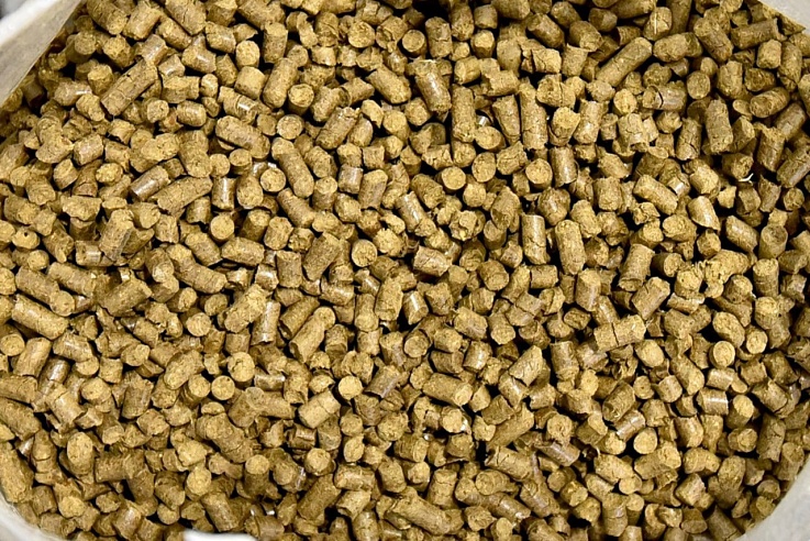 В Саратовской области начали производить органические удобрения