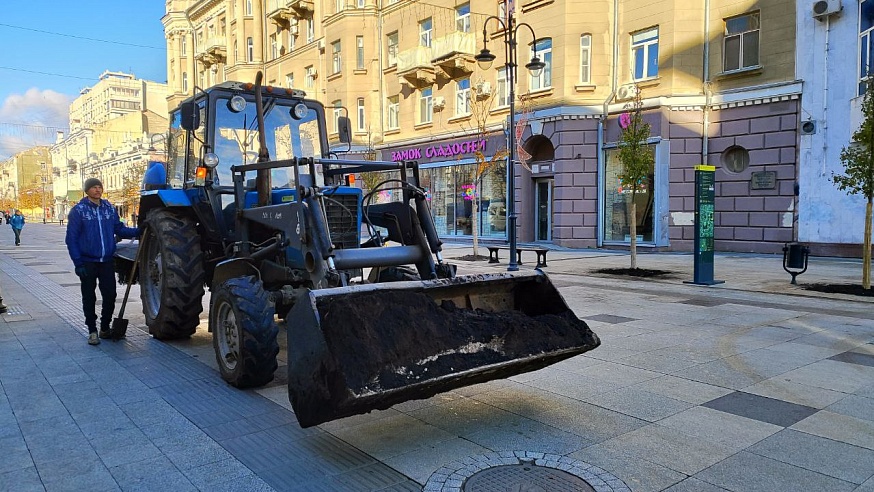 В Саратове на проспекте Столыпина начали высаживать вязы