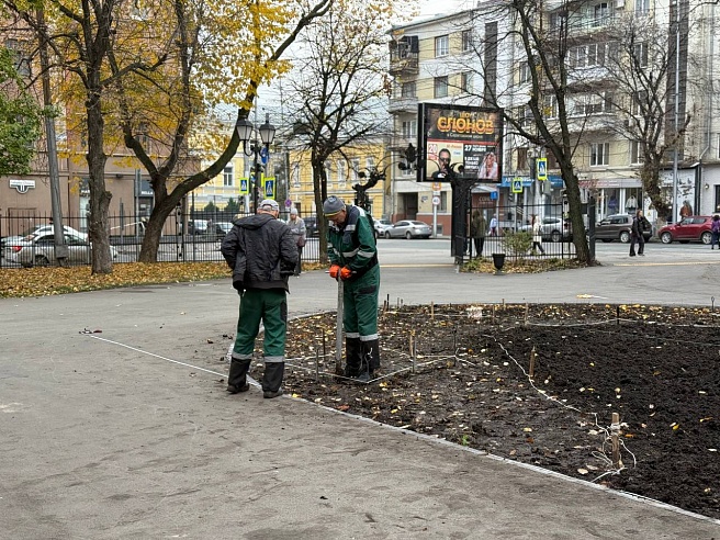 В "Липках" осенью высадили 90 деревьев-крупномеров 