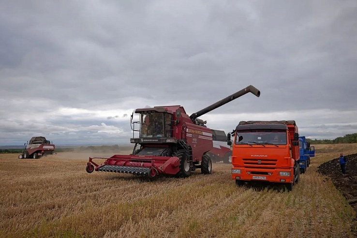 Саратовская область лидирует по сбору зерна среди регионов ПФО
