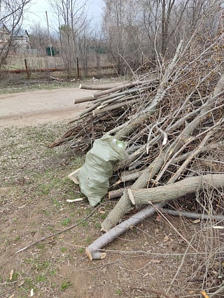 Саратовский землевладелец отверг обвинения дачников в нарушении природоохранного законодательства