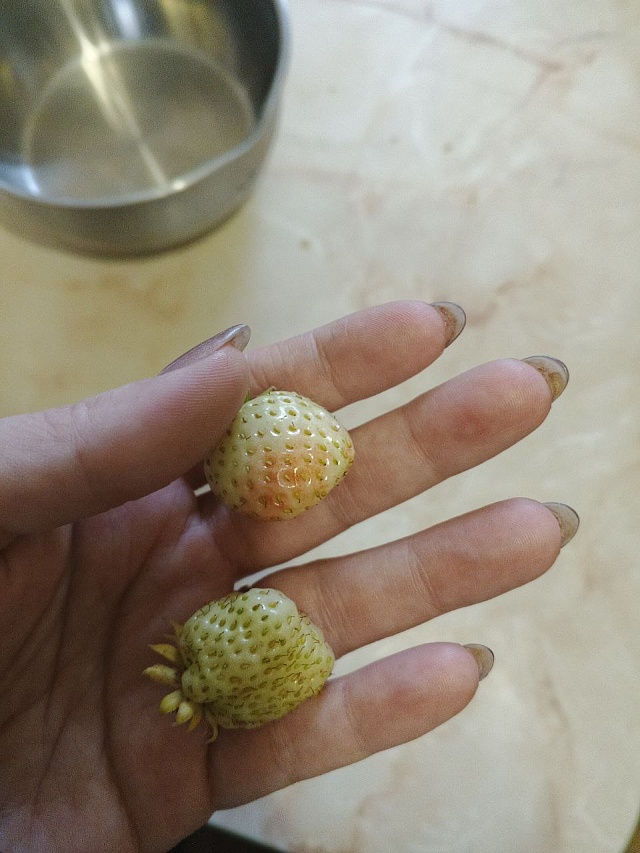 Саратовцы делятся фотографиями "зимнего" урожая