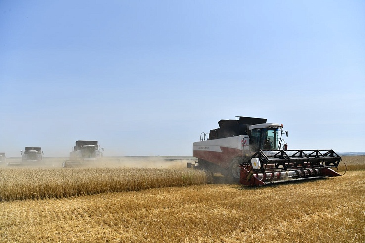 Аграрии Саратовской области собрали 4 миллиона тонн зерна