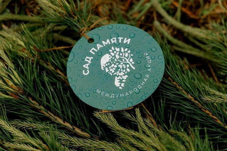 Саратовская область возглавила всероссийский рейтинг по высадке деревьев