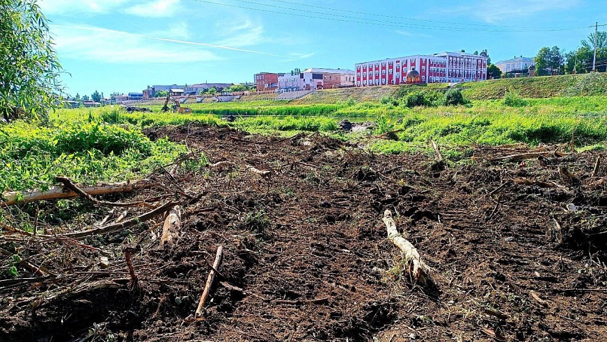 Депутат Облдумы призвал чиновников минприроды отстаивать интересы жителей