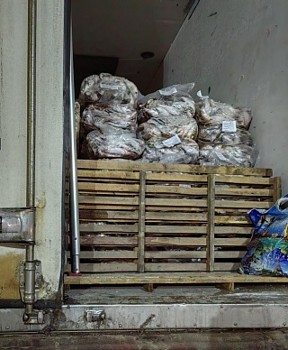 Саратовские таможенники вернули в Казахстан более 20 тонн рыбы