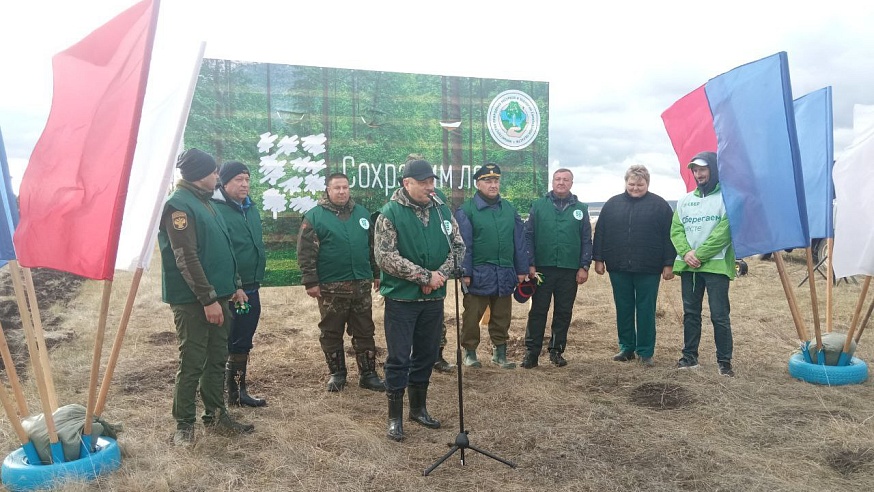 Более 40 тысяч жителей Саратовской области поучаствовали в экологических мероприятиях