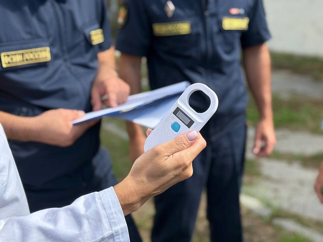 Девять щенков немецкой овчарки отправили из саратовского питомника в Дагестан