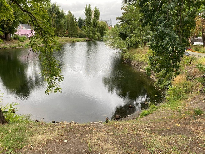 Саратовцы обеспокоены гибелью рыбы в прудах Горпарка