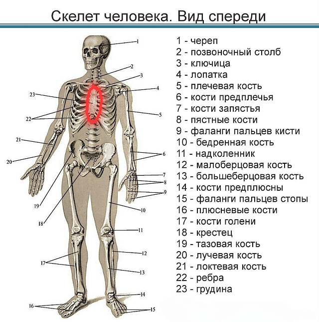 В Балакове 16-летний подросток получил перелом грудины, занимаясь на турнике