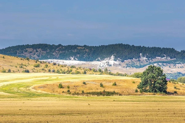 Вячеслав Володин поделился историей возрождения Иоанновского монастыря в Хвалынском районе