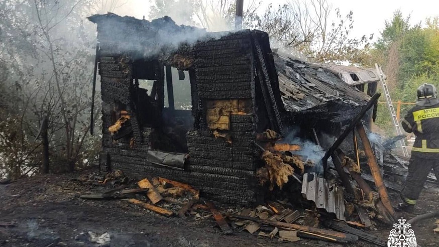 На пожаре под Саратовом дачник спас сторожа и собаку