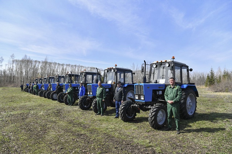 За 20 лет в Саратовской области площадь лесов увеличилась в 4 раза