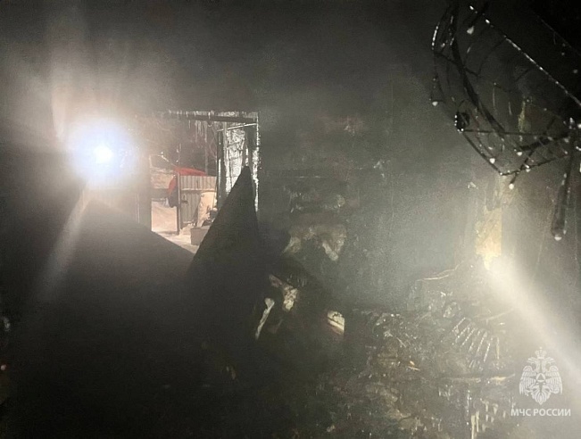 В Саратовской области огонь оставил женщину без дома и без домашних животных