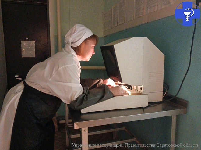 В Саратовской области не пустили в продажу более 30 тонн небезопасной продукции